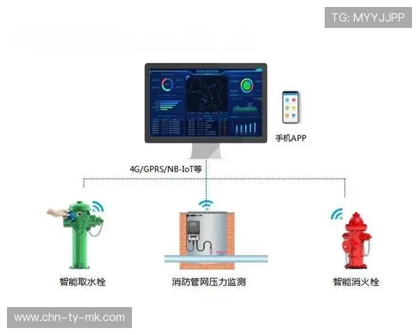 物联网设备应用普及，运动员训练数据实现无缝采集